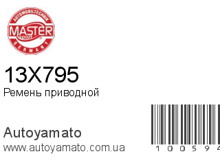 13X795 (MASTER SPORT)